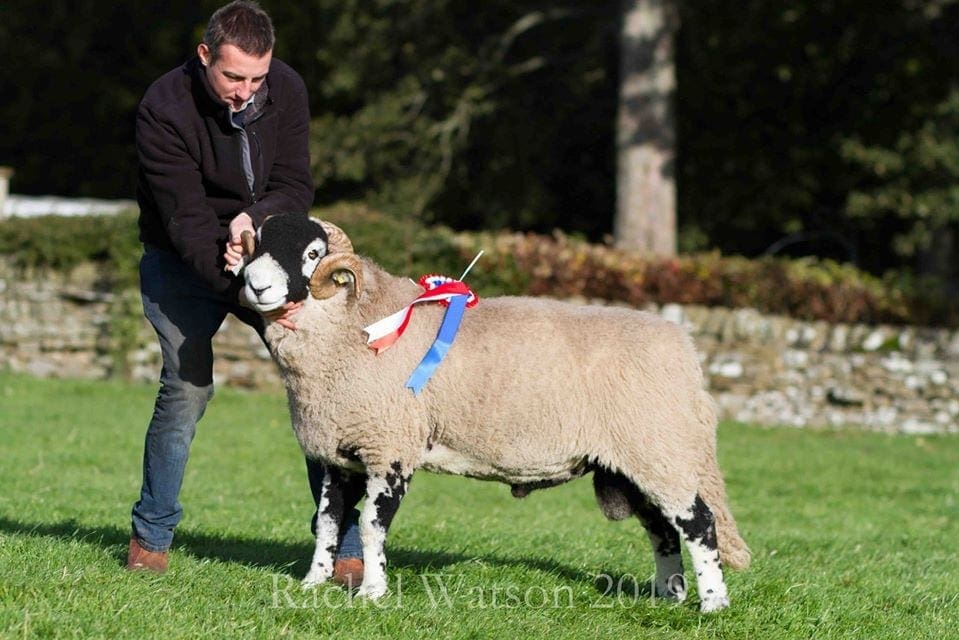 D District Tup Sale to move to Barnard Castle Auction Mart