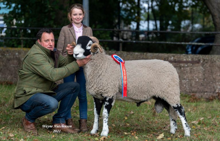Kirkby Stephen Shearling Rams – 22nd October 2021