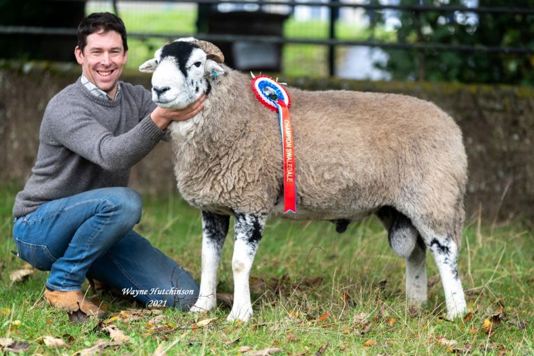 Kirkby Stephen Aged Rams – 20th October 2021