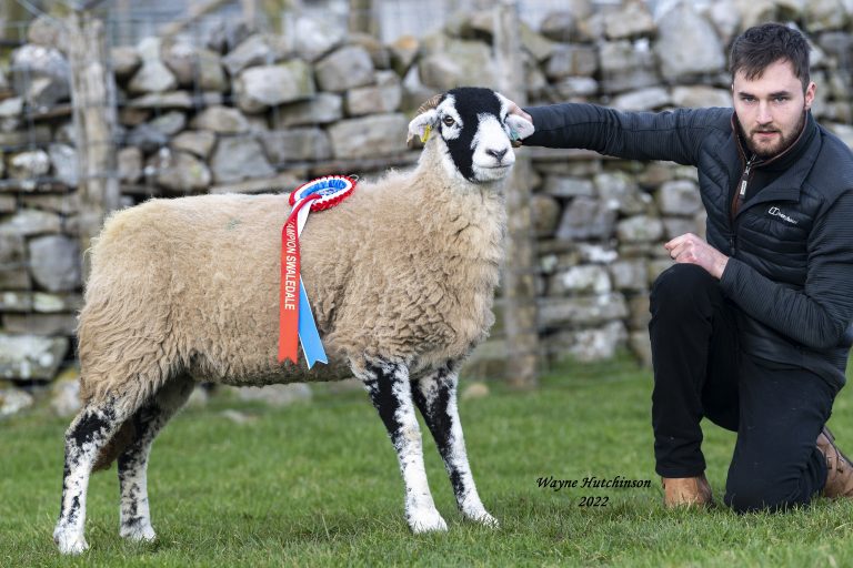 Hawes Inlamb Sale report – 22nd January 2022
