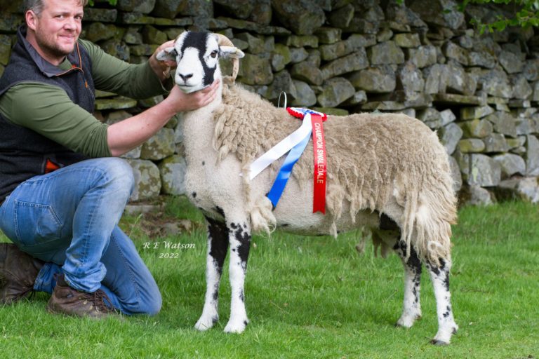 Middleton Spring Show 21st May 2022