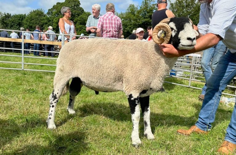 Penrith Show
