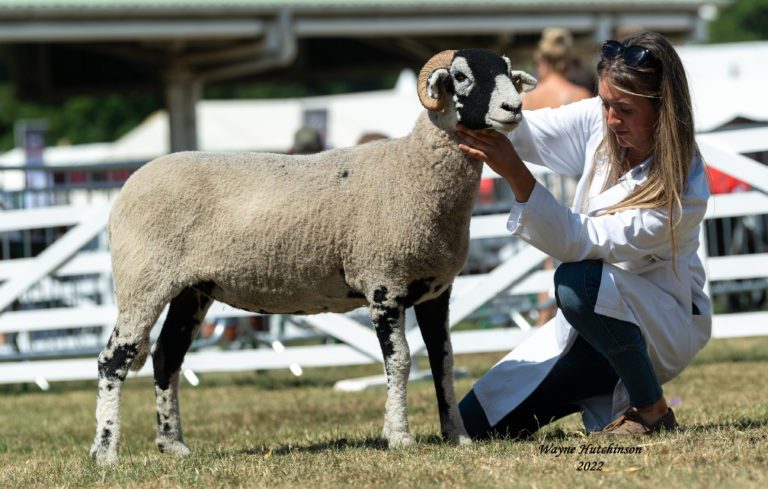 Great Yorkshire Show 13th July 2022