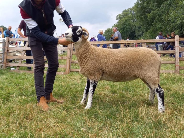 Brough Show – 18th August 2022