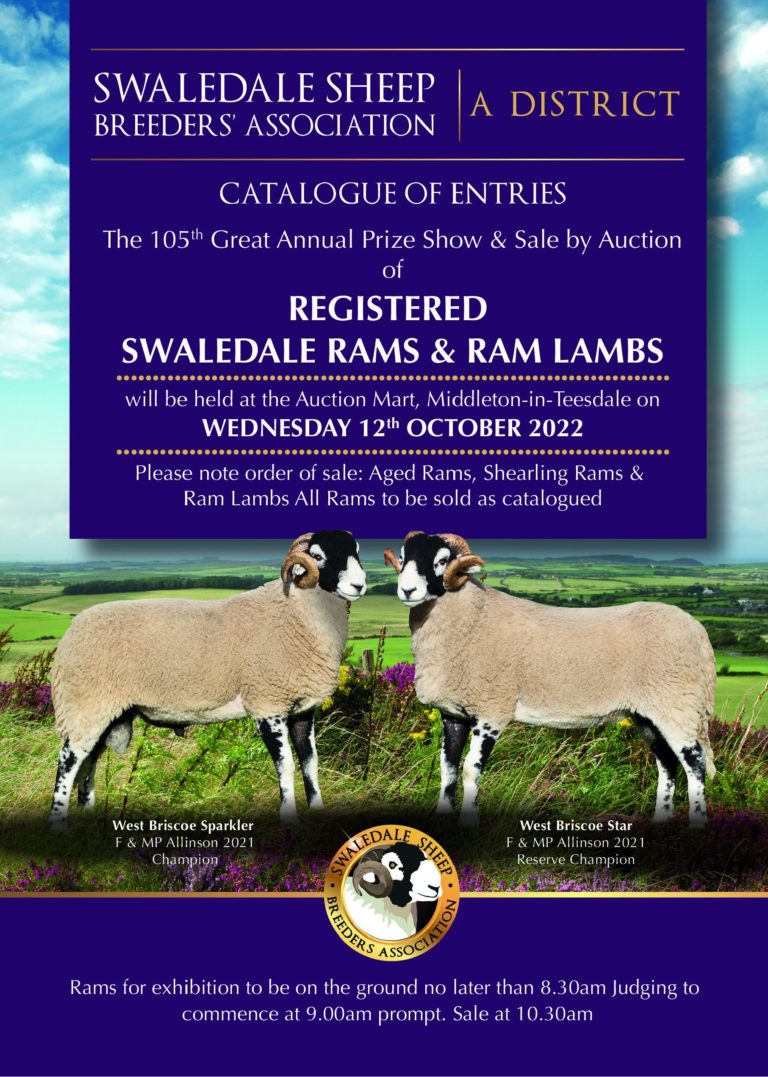 Middleton in Teesdale Tup Sale – Wednesday 12th October 2022