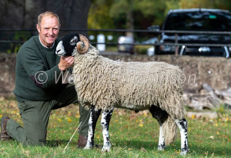 C District Ram Sales Day 1 Ram Lambs – 19th October 2022