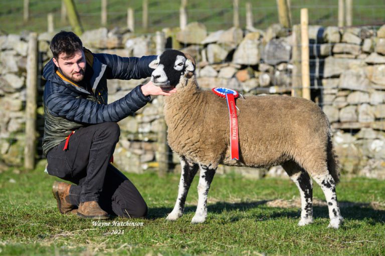 Hawes In Lamb Sale – 21st January 2023