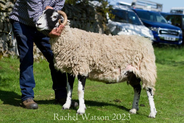 Middleton Spring Show – 20th May 2023