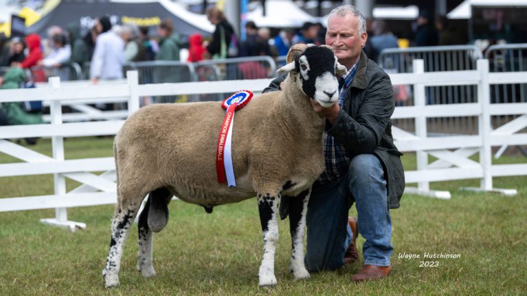 Great Yorkshire Show – 12th July 2023