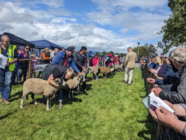 Tullamore Show – 13th August 2023