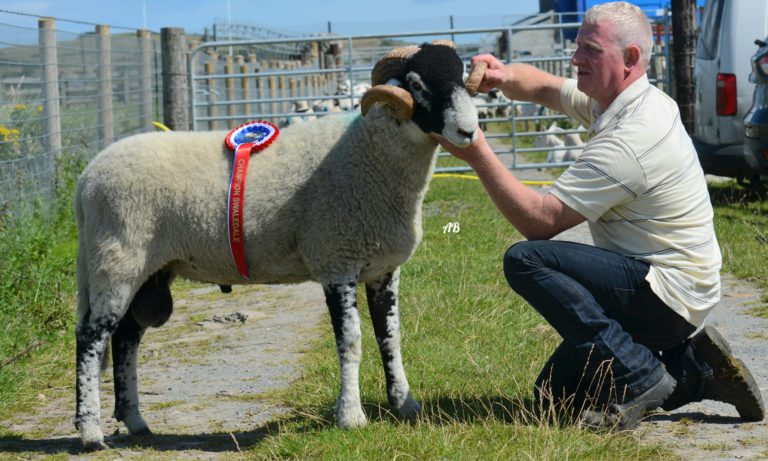 Clonmany Show, Ireland – 5th August 2023