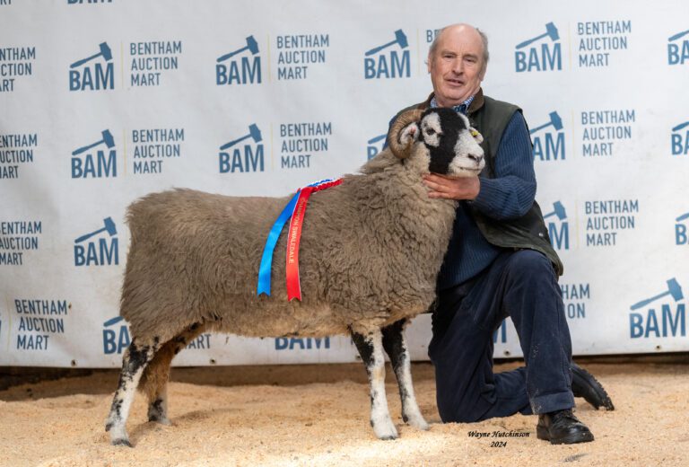 Bentham In Lamb Sale – 3 February 2024