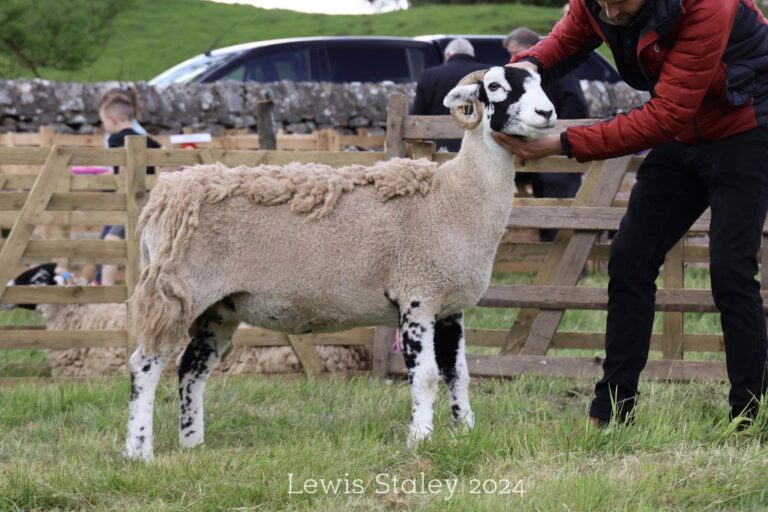 Stainmore Show – 8 June 2024