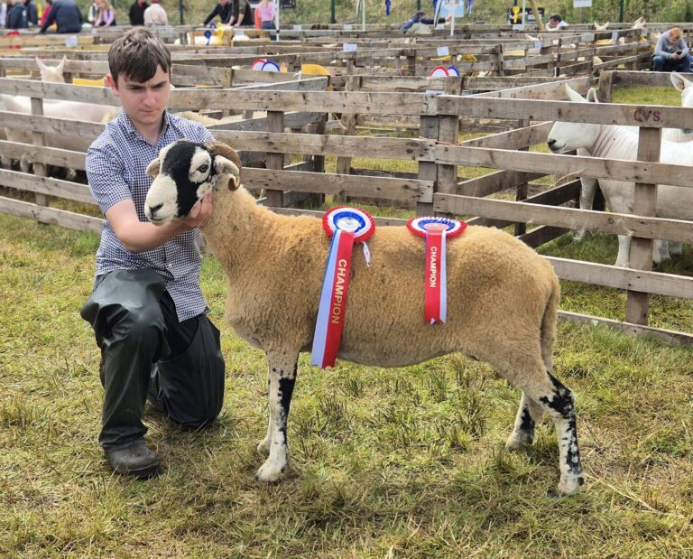 Omagh Show – 6 July 2024