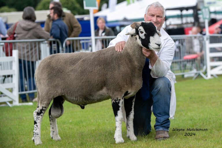 Great Yorkshire Show – 10 July 2024