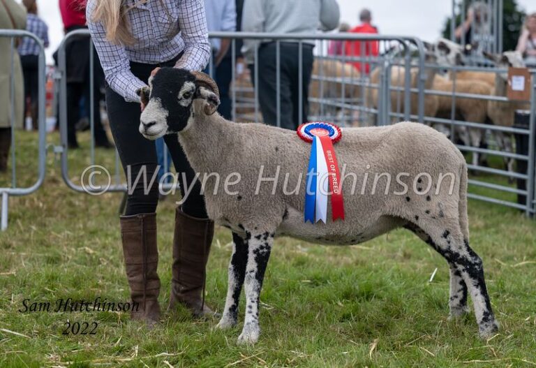 Cartmel Show – 7 August 2024