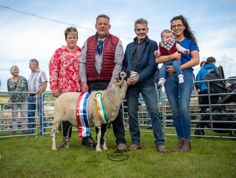 Ardara Show, Ireland – 12 August 2024