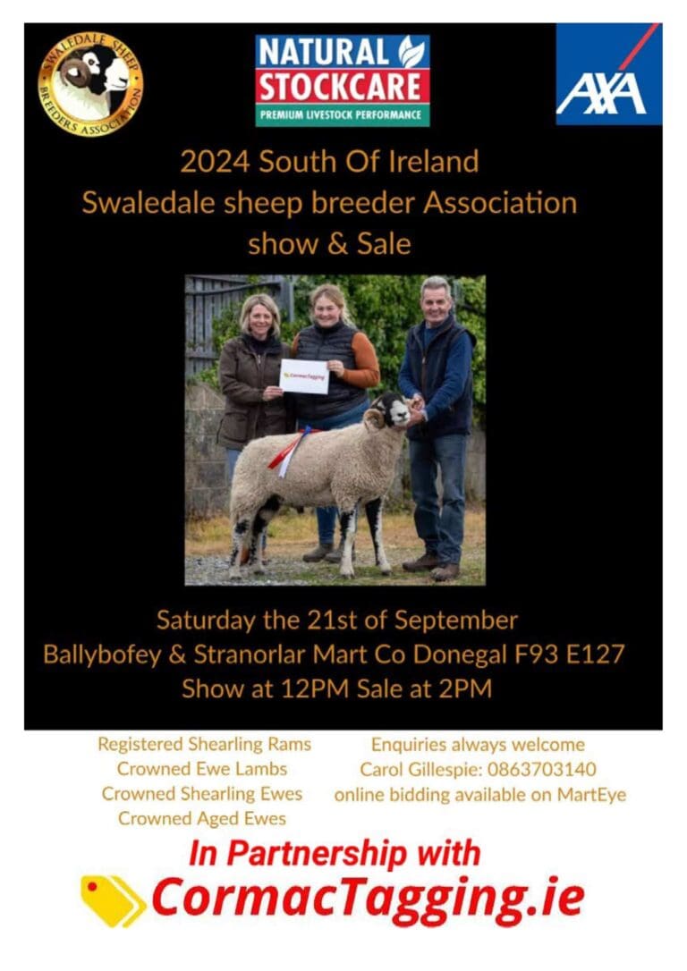 South of Ireland Sale Catalogue