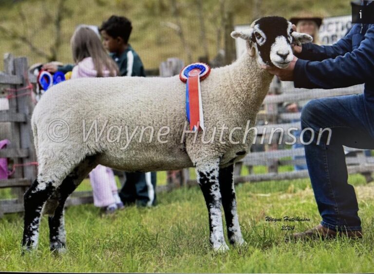 Kilnsey Show – 27 August 2024