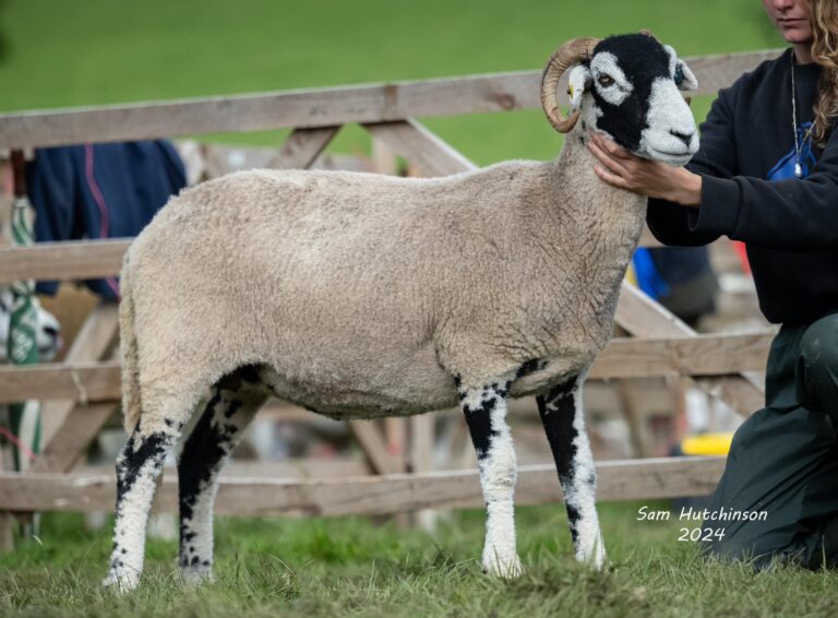 Ravenstonedale Show – 24 August 2024