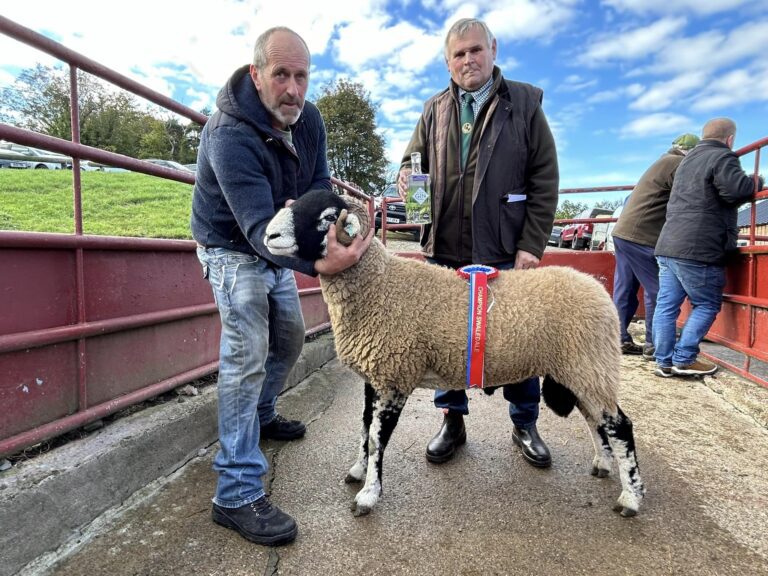 E District Ram Sale – 4 October 2024