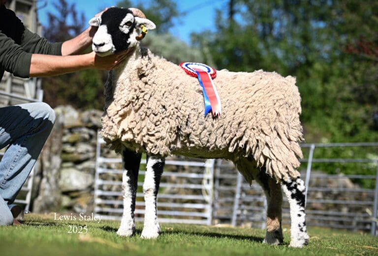 Mungrisdale Show – 21 May 2025