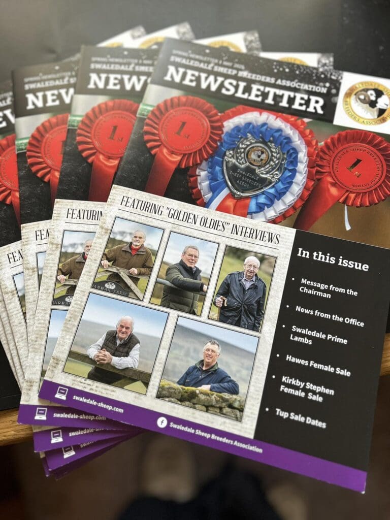 Spring Newsletter 2025