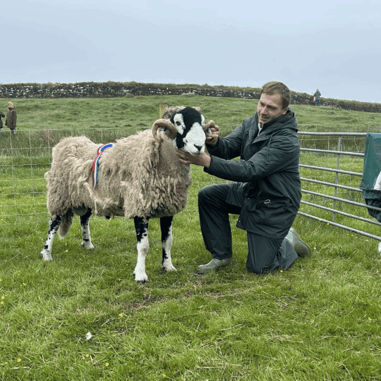 Roman Wall Show 2025