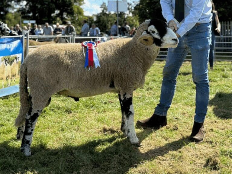 Cockermouth Show 2025