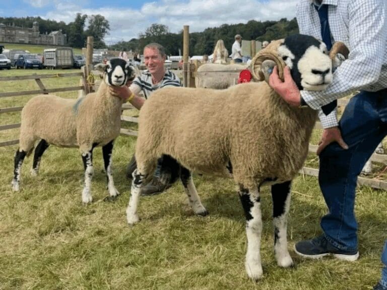 Gargrave Show 2025
