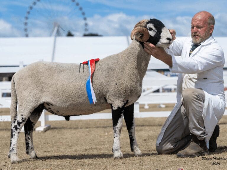 Great Yorkshire Show 2025