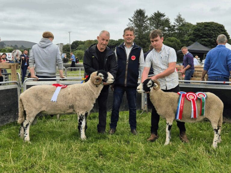 Plumbridge Show 2025