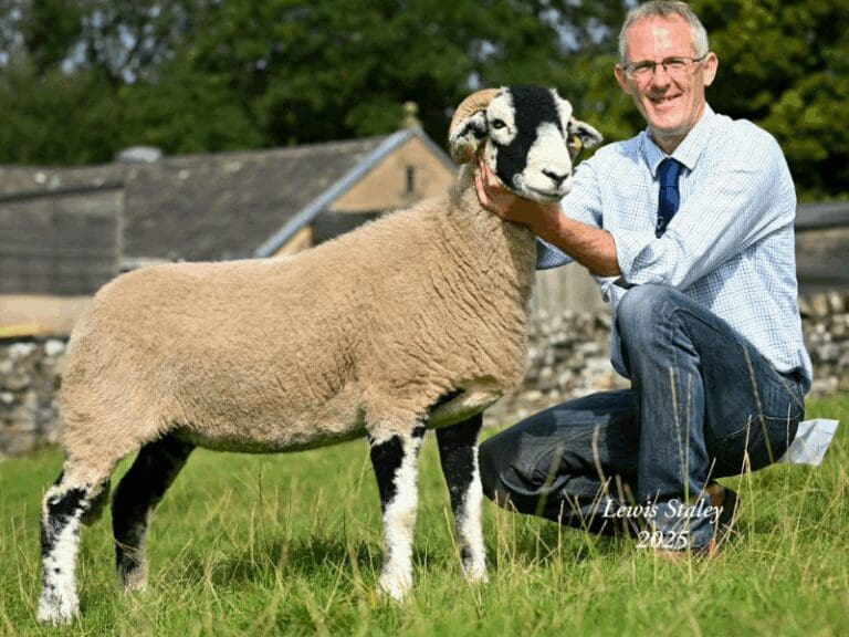 Horton-in-Ribblesdale Show 2025