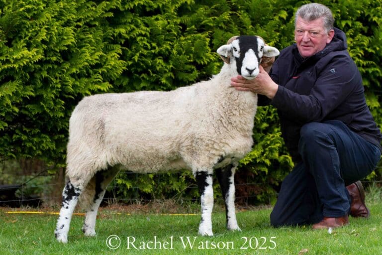 Langdon Beck Show 2025