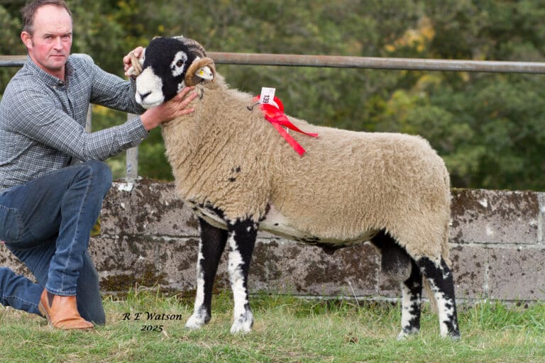 A District Ram Sale 2025