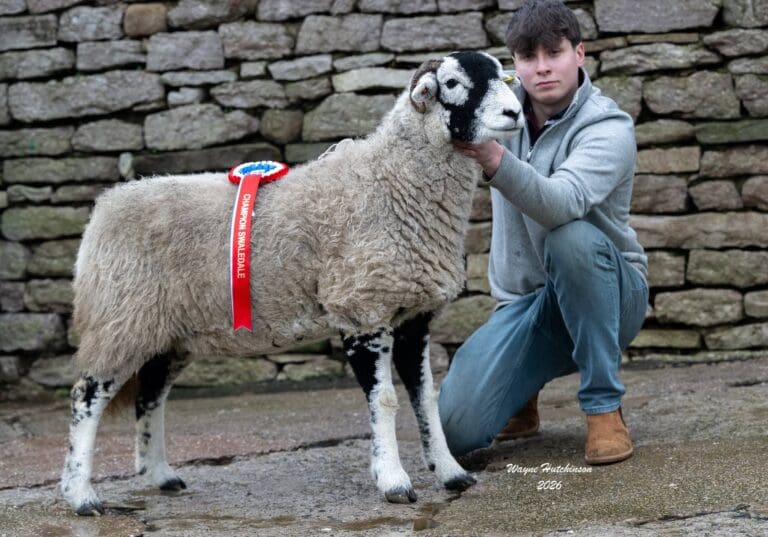 Kirkby Stephen Inlamb Sale 2026