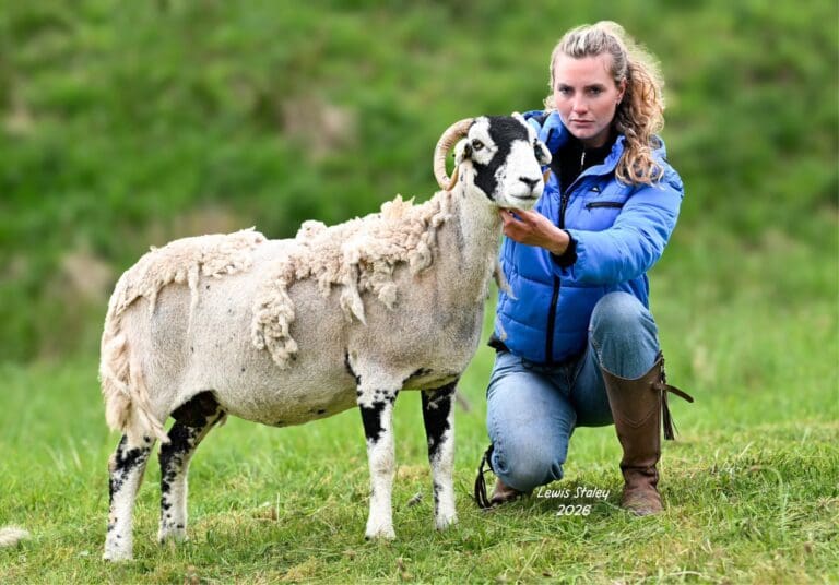 Stainmore Show 2026