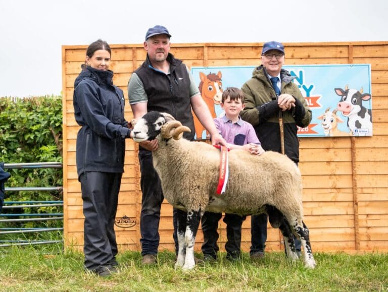 Finn Valley Show 2026