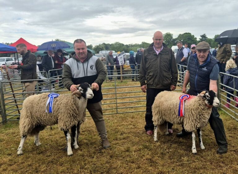 Ballymena Show 2026