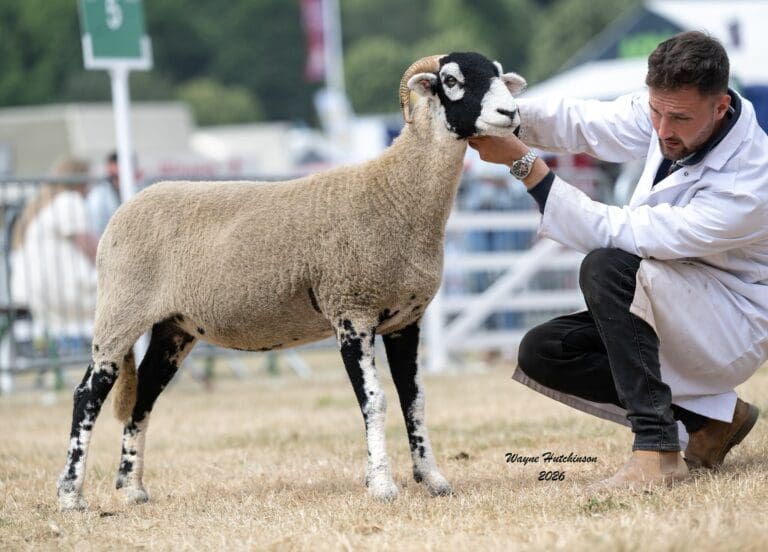 Great Yorkshire Show 2026