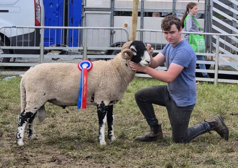 Omagh Show 2026