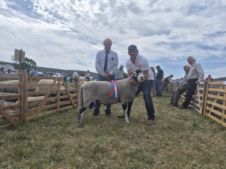 Danby Show 2026