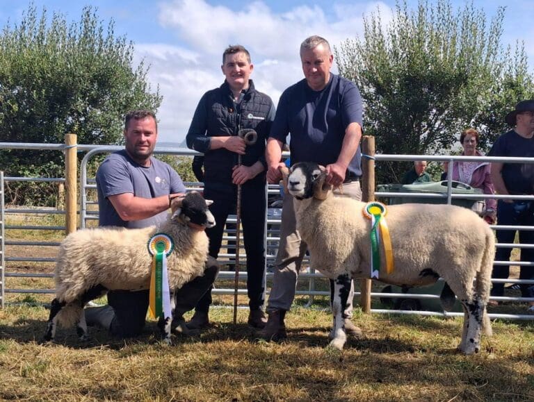 North Silgo Show 2026