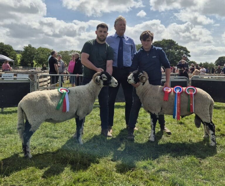 Plumbridge Show 2026