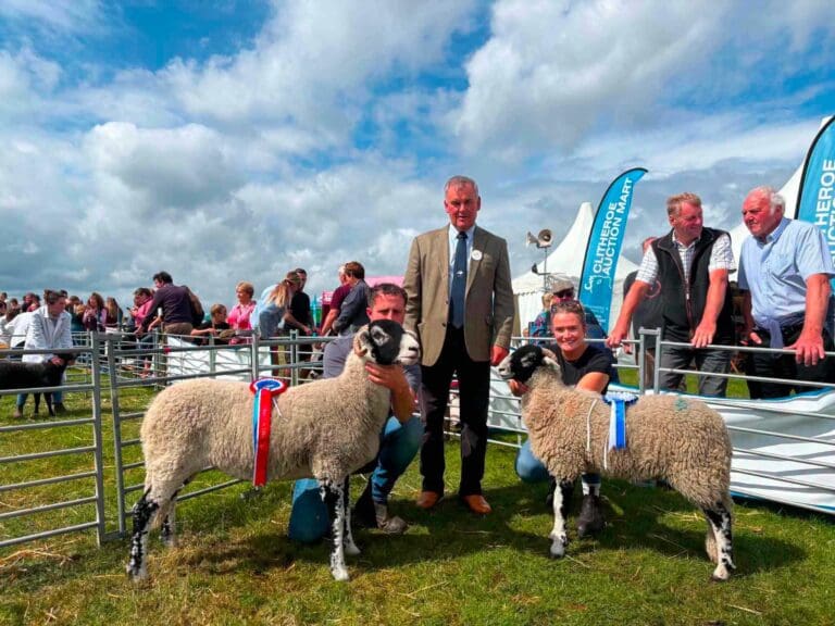 Trawden Show 2026