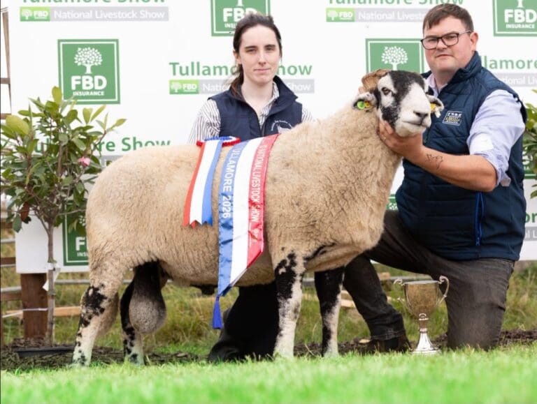 Tullamore Show 2026