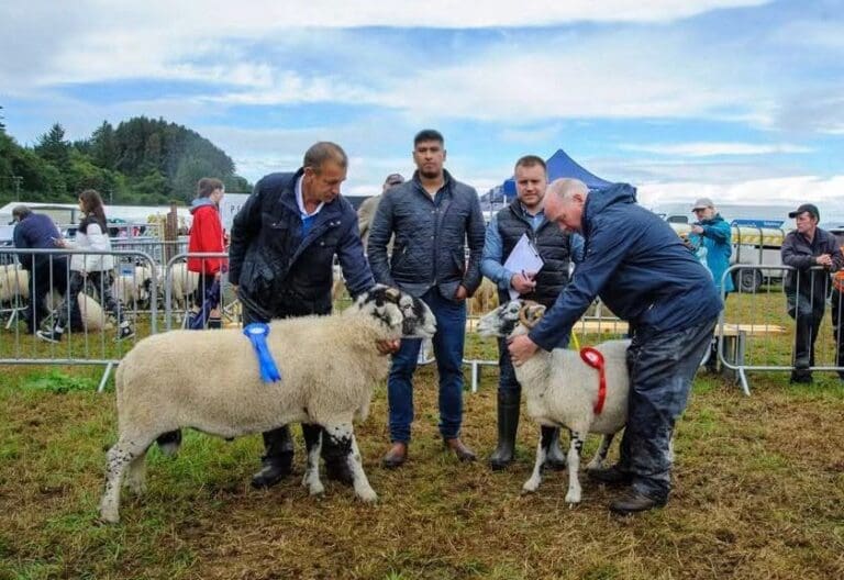 Bantry Show 2026