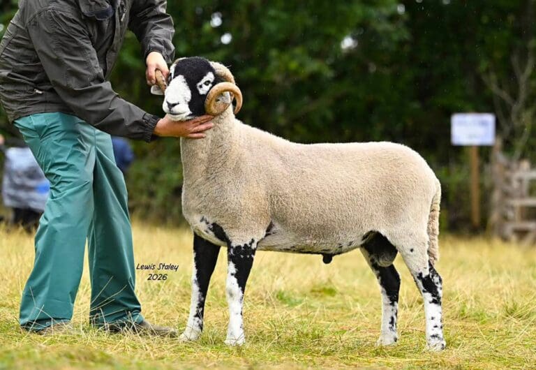 Brough Show 2026