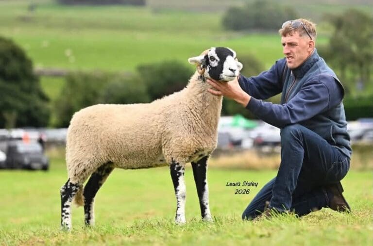 Horton-in-Ribblesdale Show 2026
