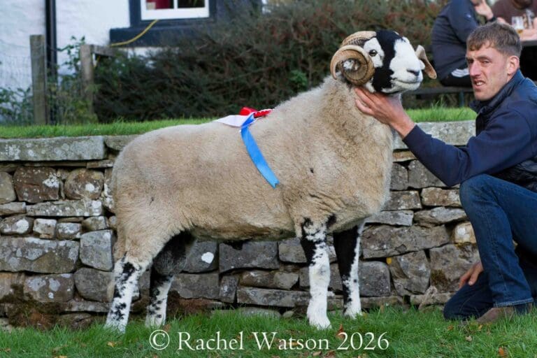 Langdon Beck Show 2026